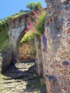 Mistra_17